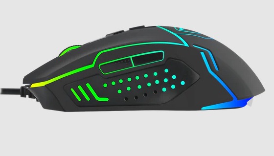 Vista 1